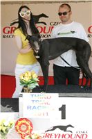 Third_Trial_Racing_2011_Ceska_greyhound_dostihova_federace_NQ1M7686.JPG