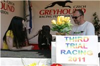 Third_Trial_Racing_2011_Ceska_greyhound_dostihova_federace_NQ1M7711.JPG