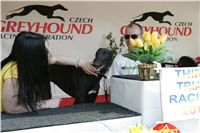 Third_Trial_Racing_2011_Ceska_greyhound_dostihova_federace_NQ1M7716.JPG