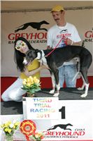 Third_Trial_Racing_2011_Ceska_greyhound_dostihova_federace_NQ1M7751.JPG