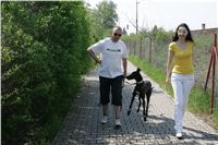 Third_Trial_Racing_2011_Ceska_greyhound_dostihova_federace_NQ1M7772.JPG