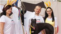 Chrti_dostihy_April_Cup_Ceska_greyhound_dostihova_federace_DSC02360.JPG