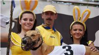 Chrti_dostihy_April_Cup_Ceska_greyhound_dostihova_federace_DSC02162.JPG