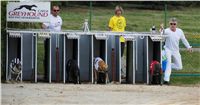 Chrti_dostihy_April_Cup_Ceska_greyhound_dostihova_federace_DSC02179.JPG