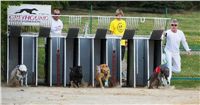 Chrti_dostihy_April_Cup_Ceska_greyhound_dostihova_federace_DSC02180.JPG