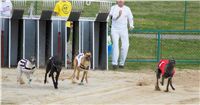 Chrti_dostihy_April_Cup_Ceska_greyhound_dostihova_federace_DSC02186.JPG