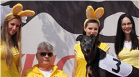 Chrti_dostihy_April_Cup_Ceska_greyhound_dostihova_federace_DSC02300.JPG