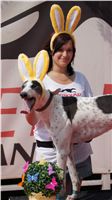 Chrti_dostihy_April_Cup_Ceska_greyhound_dostihova_federace_DSC02348.JPG