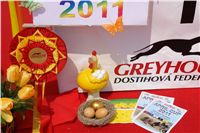 Chrti_dostihy_April_Cup_Ceska_greyhound_dostihova_federace_DSC07319.jpg