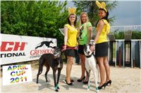 Chrti_dostihy_April_Cup_Ceska_greyhound_dostihova_federace_DSC07325-v.jpg