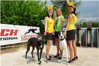 Chrti_dostihy_April_Cup_Ceska_greyhound_dostihova_federace_DSC07325.JPG