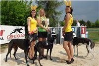 Chrti_dostihy_April_Cup_Ceska_greyhound_dostihova_federace_DSC07333.JPG