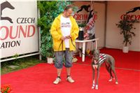 Chrti_dostihy_April_Cup_Ceska_greyhound_dostihova_federace_DSC07403.JPG