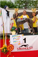 Chrti_dostihy_April_Cup_Ceska_greyhound_dostihova_federace_DSC07410.JPG