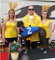 Chrti_dostihy_April_Cup_Ceska_greyhound_dostihova_federace_DSC07432.JPG