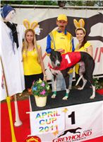 Chrti_dostihy_April_Cup_Ceska_greyhound_dostihova_federace_DSC07449.JPG