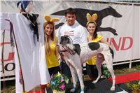 Chrti_dostihy_April_Cup_Ceska_greyhound_dostihova_federace_DSC07476.JPG