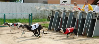 Chrti_dostihy_April_Cup_Ceska_greyhound_dostihova_federace_DSC07486.JPG