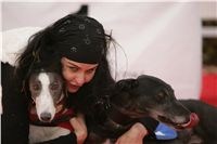 Chrti_dostihy_April_Cup_Ceska_greyhound_dostihova_federace_NQ1M8749.JPG