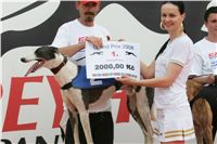 Grand_Prix_08_Ceska_greyhound_dostihova_federace_NQ1M3998.JPG