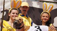 Chrti_dostihy_April_Cup_Ceska_greyhound_dostihova_federace_DSC02158.JPG