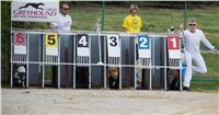 Chrti_dostihy_April_Cup_Ceska_greyhound_dostihova_federace_DSC02178.JPG