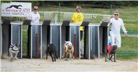 Chrti_dostihy_April_Cup_Ceska_greyhound_dostihova_federace_DSC02181.JPG