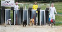 Chrti_dostihy_April_Cup_Ceska_greyhound_dostihova_federace_DSC02182.JPG