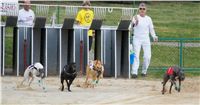 Chrti_dostihy_April_Cup_Ceska_greyhound_dostihova_federace_DSC02185.JPG