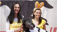 Chrti_dostihy_April_Cup_Ceska_greyhound_dostihova_federace_DSC02288.JPG