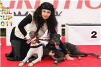 Chrti_dostihy_April_Cup_Ceska_greyhound_dostihova_federace_DSC05709.JPG