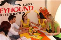 Chrti_dostihy_April_Cup_Ceska_greyhound_dostihova_federace_DSC07256.JPG