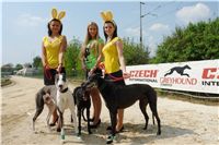 Chrti_dostihy_April_Cup_Ceska_greyhound_dostihova_federace_DSC07338.JPG