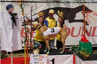 Chrti_dostihy_April_Cup_Ceska_greyhound_dostihova_federace_DSC07351.JPG