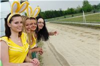 Chrti_dostihy_April_Cup_Ceska_greyhound_dostihova_federace_DSC07368.JPG