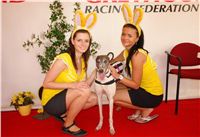 Chrti_dostihy_April_Cup_Ceska_greyhound_dostihova_federace_DSC07393.JPG