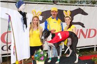 Chrti_dostihy_April_Cup_Ceska_greyhound_dostihova_federace_DSC07448.JPG