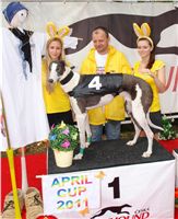 Chrti_dostihy_April_Cup_Ceska_greyhound_dostihova_federace_DSC07450.JPG