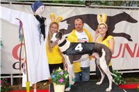 Chrti_dostihy_April_Cup_Ceska_greyhound_dostihova_federace_DSC07452.JPG