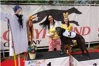 Chrti_dostihy_April_Cup_Ceska_greyhound_dostihova_federace_DSC07461.JPG