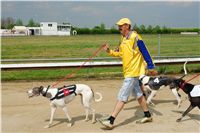 Chrti_dostihy_April_Cup_Ceska_greyhound_dostihova_federace_DSC07492.JPG