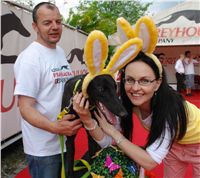 Chrti_dostihy_April_Cup_Ceska_greyhound_dostihova_federace_DSC07528.JPG