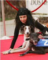 Chrti_dostihy_April_Cup_Ceska_greyhound_dostihova_federace_NQ1M8783.JPG