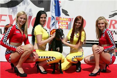 chrti_dostihy_Grand_Prix_2011_Czech_Greyhound_Racing_Federation_NQ1M0071.JPG