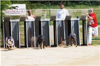 chrti_dostihy_Grand_Prix_2011_Czech_Greyhound_Racing_Federation_0013_DSC02584.JPG