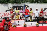 chrti_dostihy_Grand_Prix_2011_Czech_Greyhound_Racing_Federation_0030_NQ1M0553.JPG