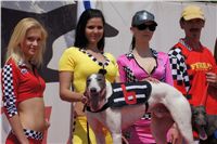 chrti_dostihy_Grand_Prix_2011_Czech_Greyhound_Racing_Federation_0031_DSC02623.JPG