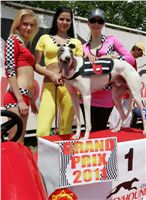 chrti_dostihy_Grand_Prix_2011_Czech_Greyhound_Racing_Federation_0033_NQ1M0561.JPG