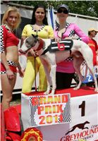 chrti_dostihy_Grand_Prix_2011_Czech_Greyhound_Racing_Federation_0034_NQ1M0566.JPG