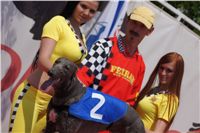 chrti_dostihy_Grand_Prix_2011_Czech_Greyhound_Racing_Federation_0036_DSC02633.JPG